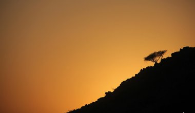 Explore Fujairah Gallery